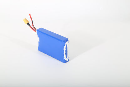21.9V, 2600mAh-6S1P battery--1pcs